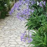 Giardini Luxury Gasthuis Capri