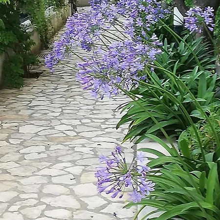 Giardini Luxury Pensión Capri