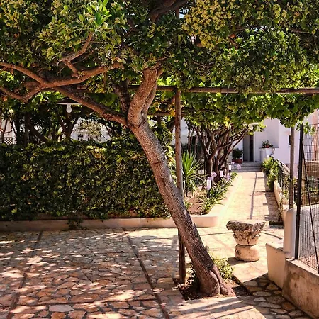 Giardini Luxury Pensión
